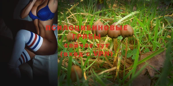 гашиш Няндома