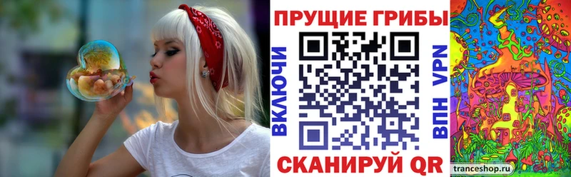 Галлюциногенные грибы Psilocybe  дарнет шоп  Луга 